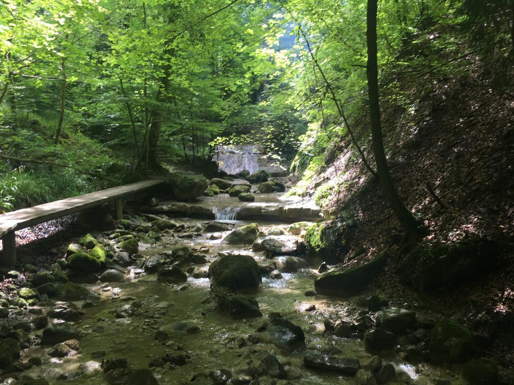 Bed And Breakfast Oase Im Seetal Gelfingen Екстериор снимка
