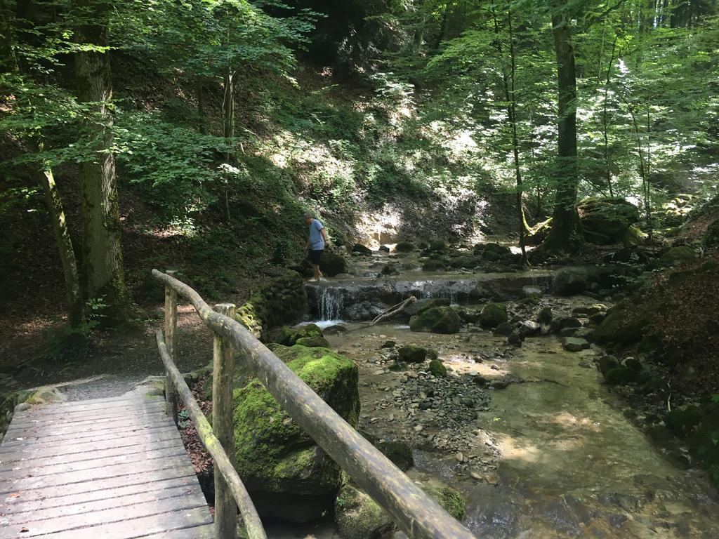 Bed And Breakfast Oase Im Seetal Gelfingen Екстериор снимка